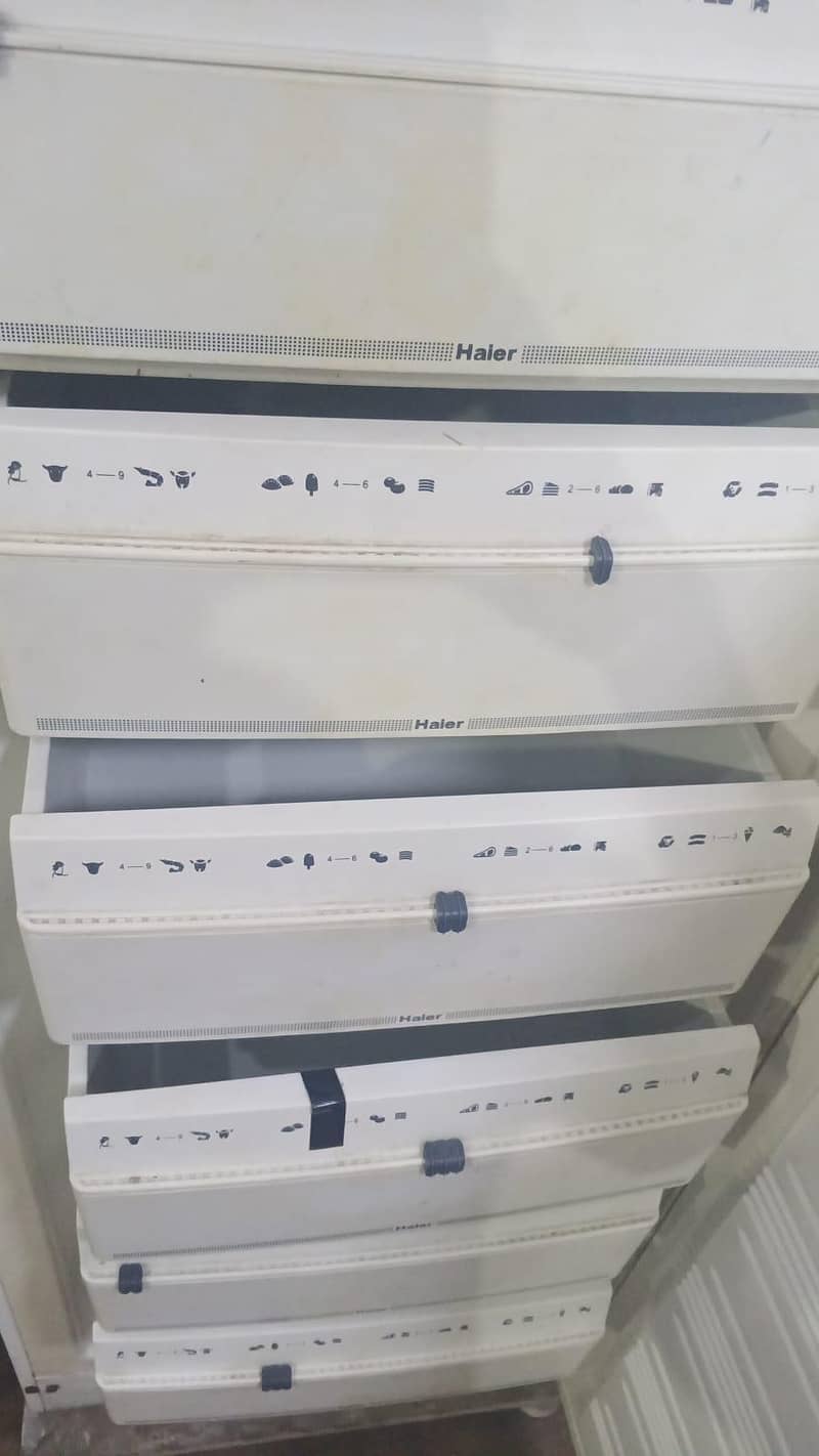 multiple freezers 1