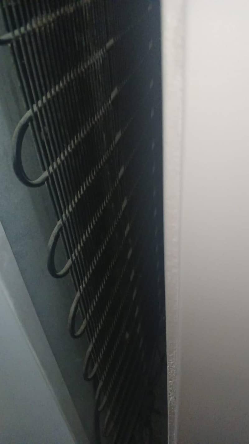 multiple freezers 3