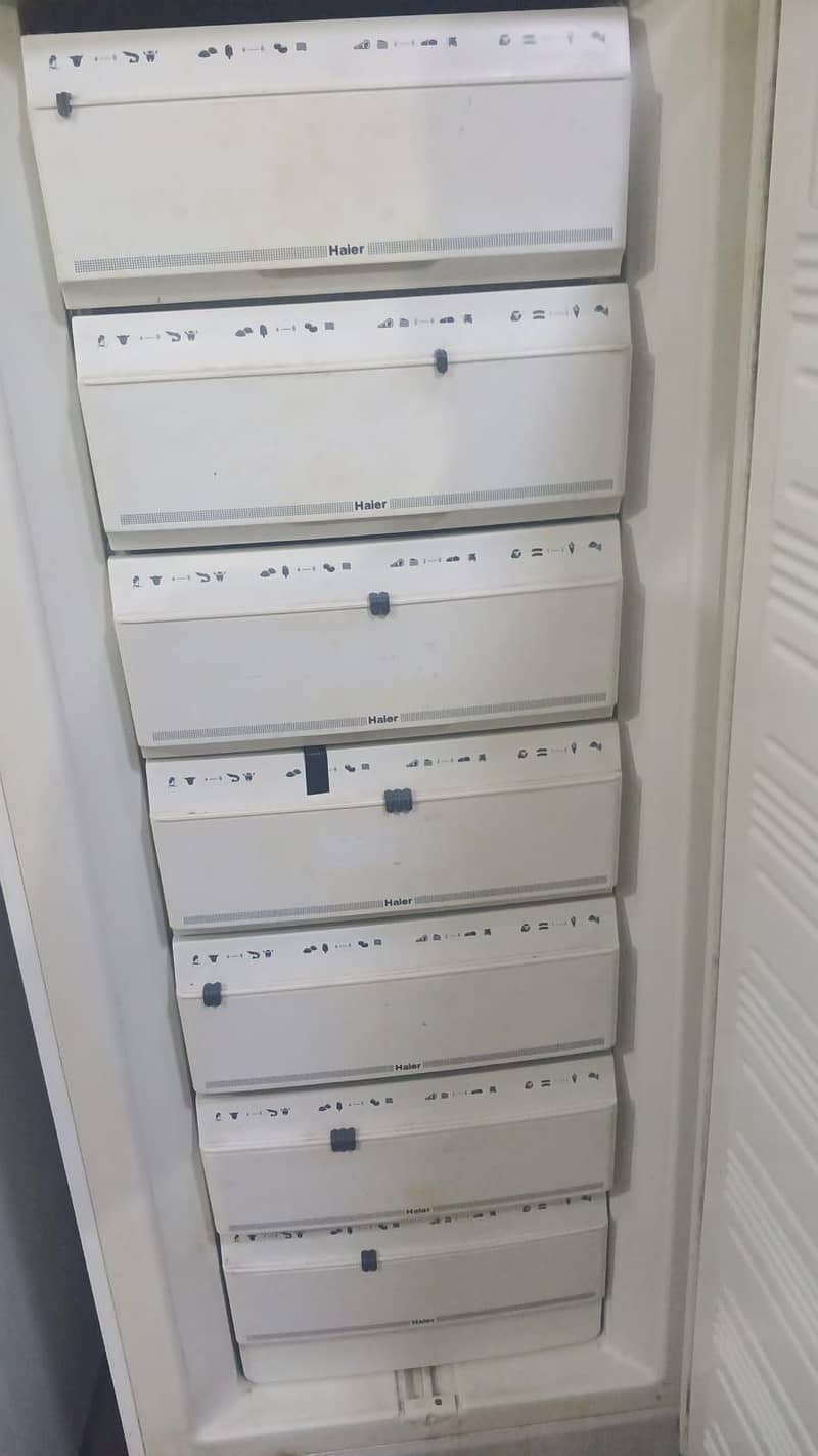 multiple freezers 4