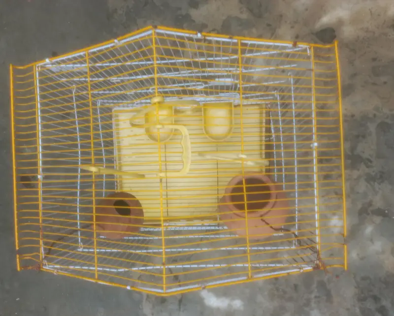 Cage For Sale — photo 3