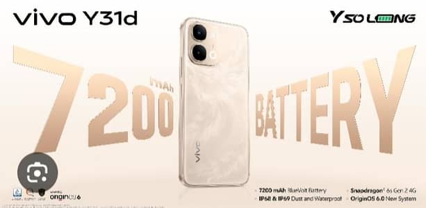 Vivo Y31