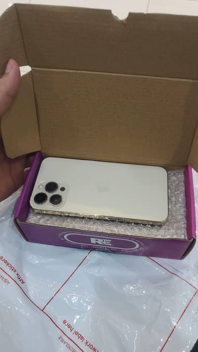 Apple iPhone 13 Pro Max