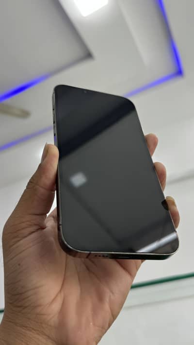 Apple iPhone 13 Pro Max 256 gb non pta