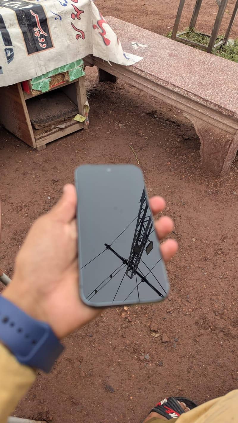 Google Pixel 9 Pro 1