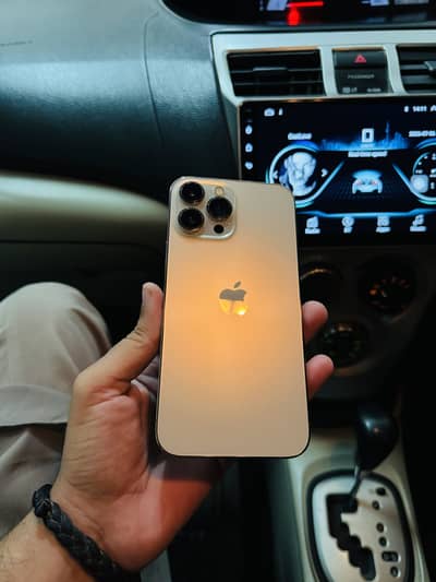 Apple iPhone 13 Pro Max non pta waterpack