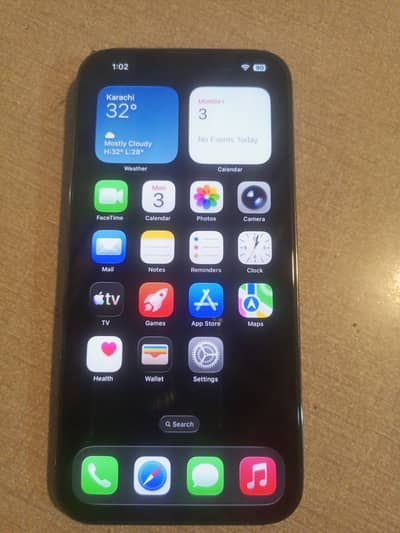 13 pro max