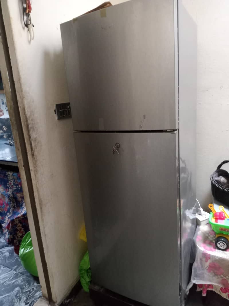 frige 0