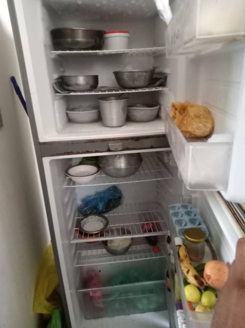 frige 1