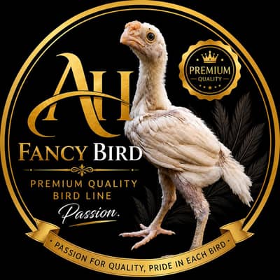 German o shamo king size chicks and pathe bhi available hai