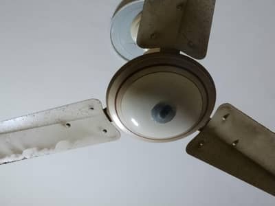 al riaz ceiling fan