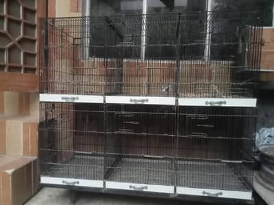 Parrot Cage
