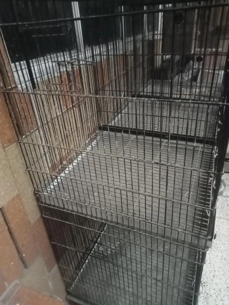 Parrot Cage — photo 2