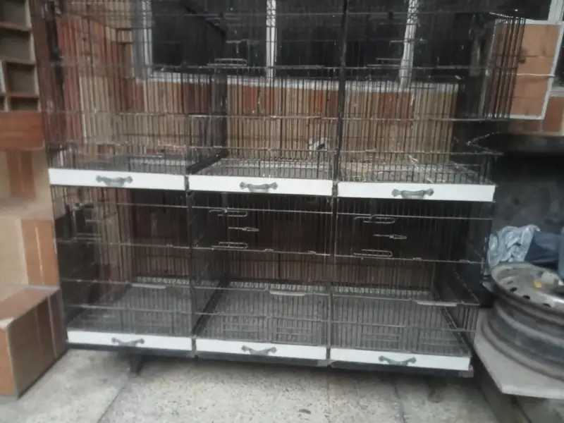Parrot Cage — photo 3