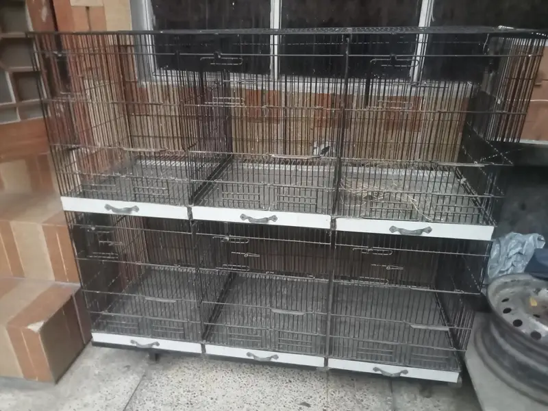Parrot Cage — photo 4