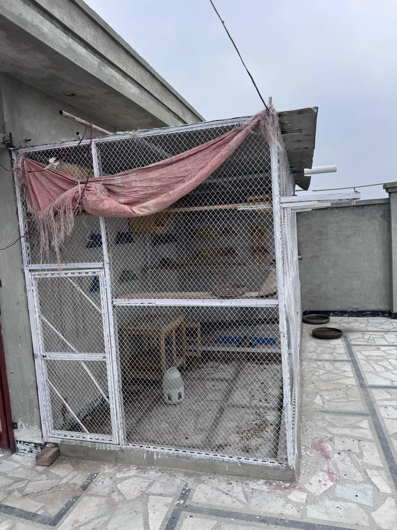 Birds cage — photo 2