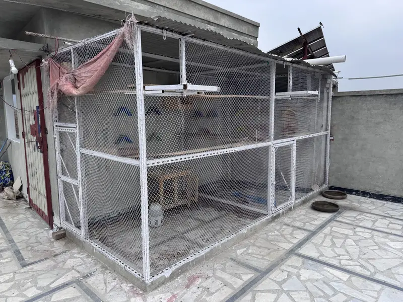 Birds cage — photo 3