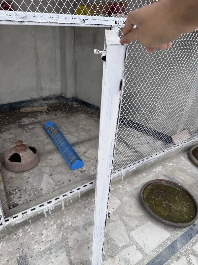 Birds cage — photo 4