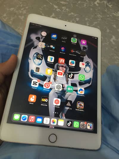 ipad mini5