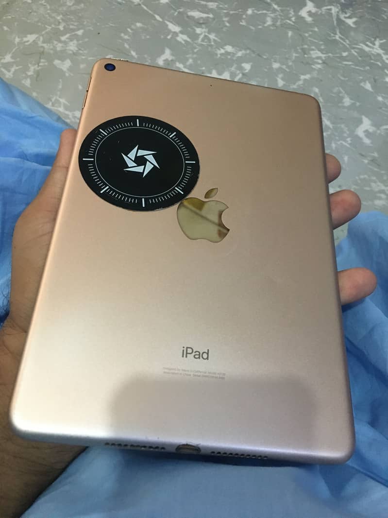ipad mini5 1