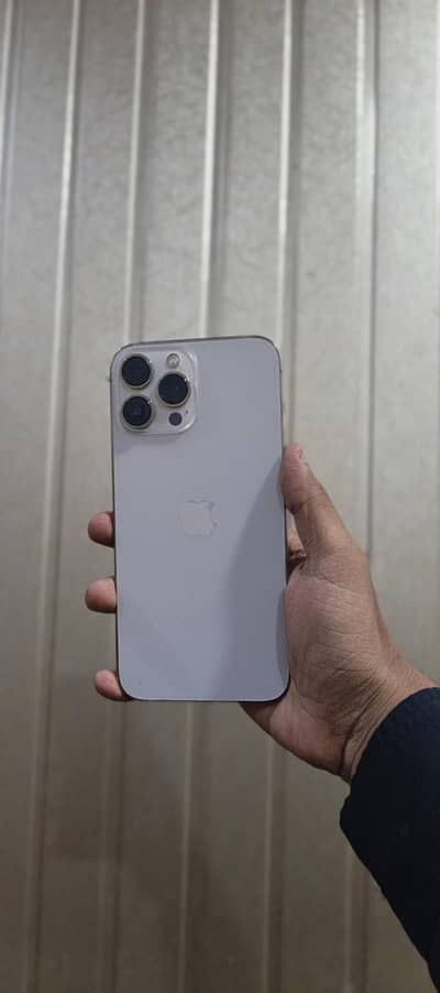 Apple iPhone 13 Pro Max