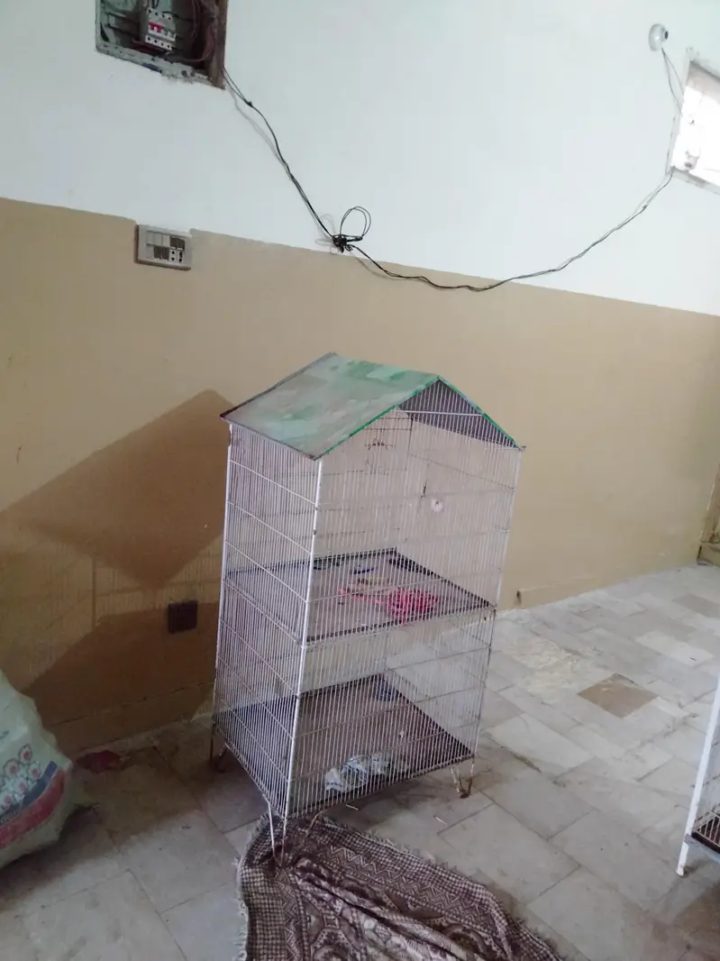 PARROTS CAGES BIG AND BEAUTIFUL NEW CONDITION — photo 2