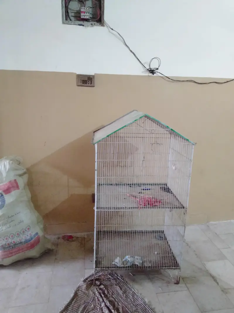 PARROTS CAGES BIG AND BEAUTIFUL NEW CONDITION — photo 3