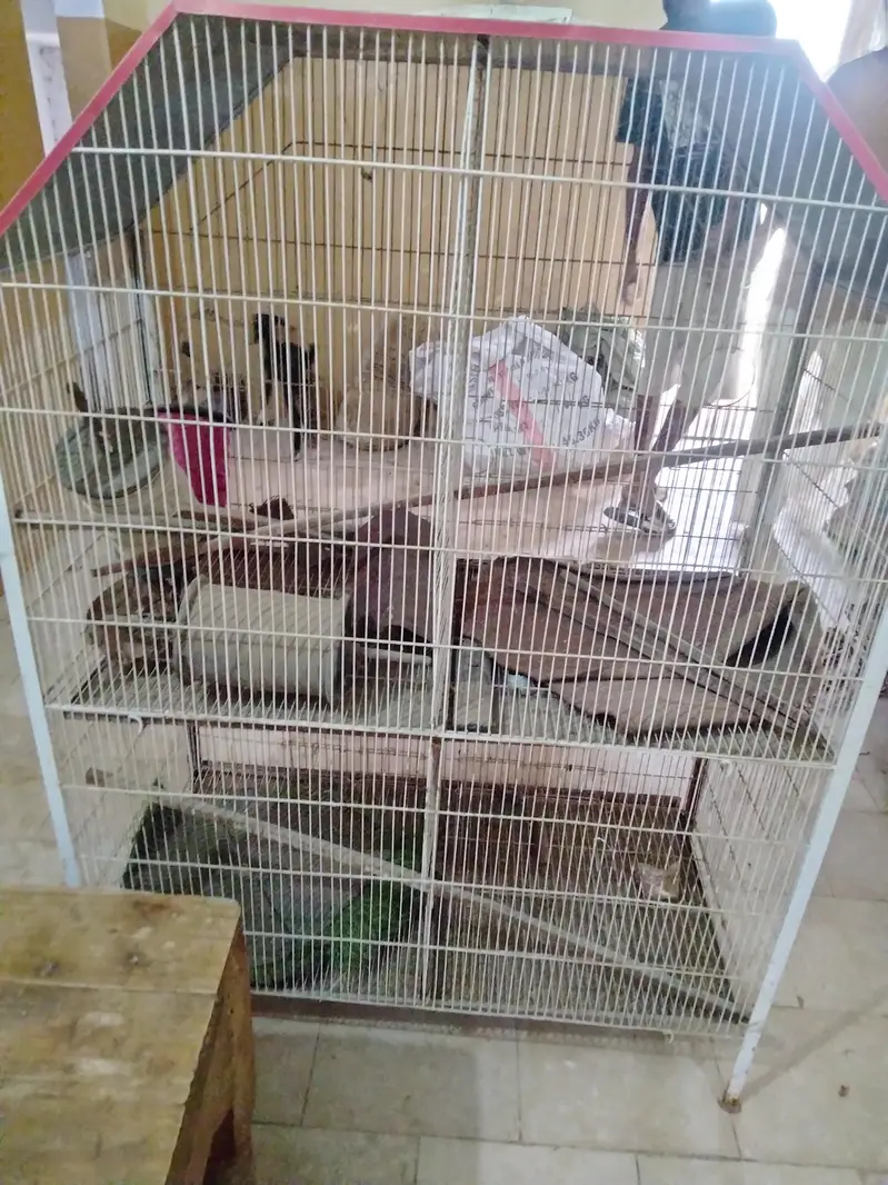 PARROTS CAGES BIG AND BEAUTIFUL NEW CONDITION — photo 4