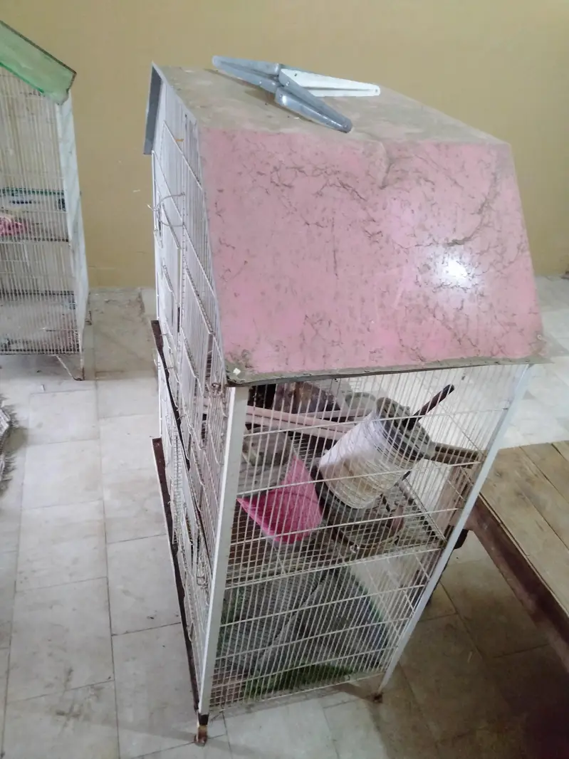 PARROTS CAGES BIG AND BEAUTIFUL NEW CONDITION — photo 5