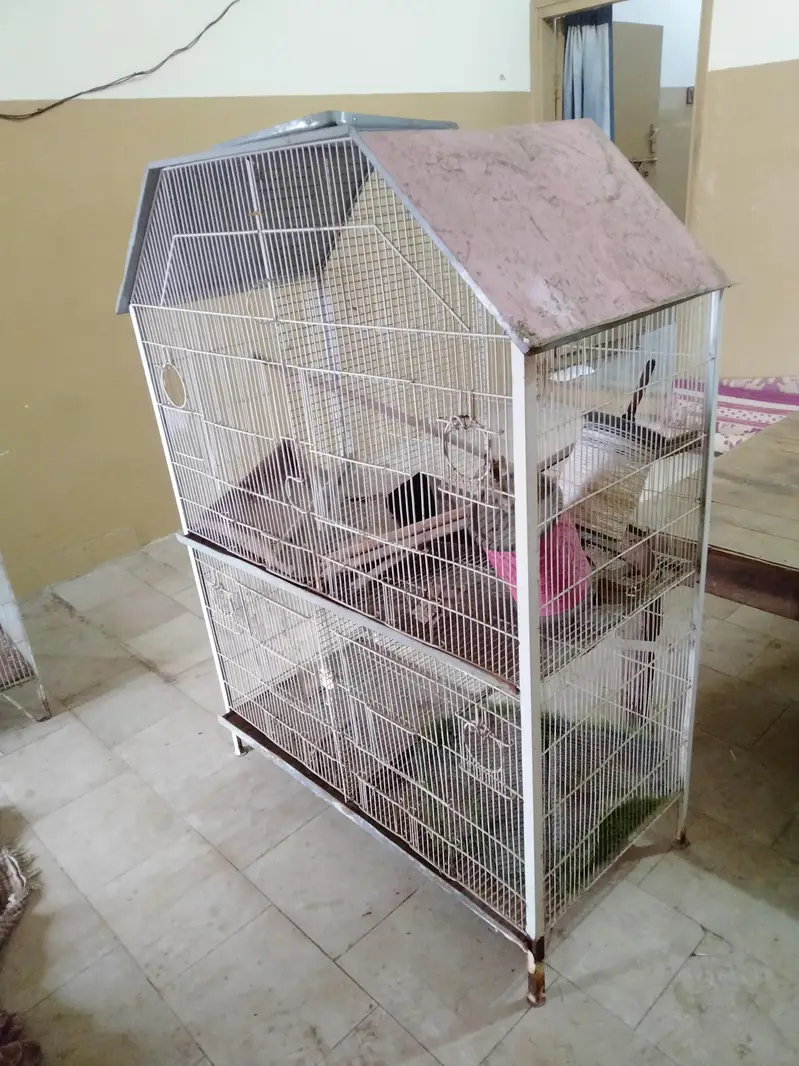 PARROTS CAGES BIG AND BEAUTIFUL NEW CONDITION — photo 6