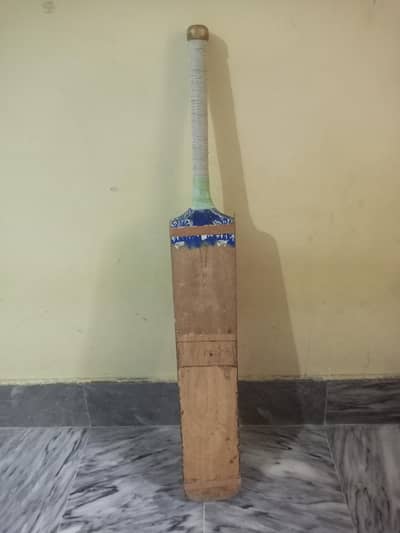 coconut bat