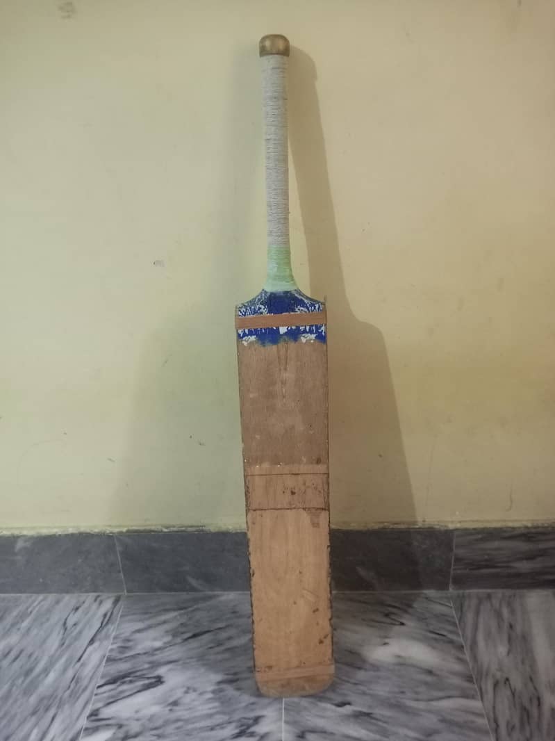 coconut bat 0