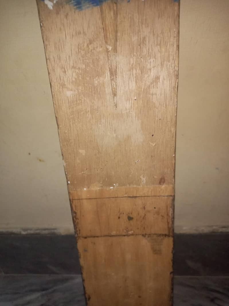 coconut bat 1