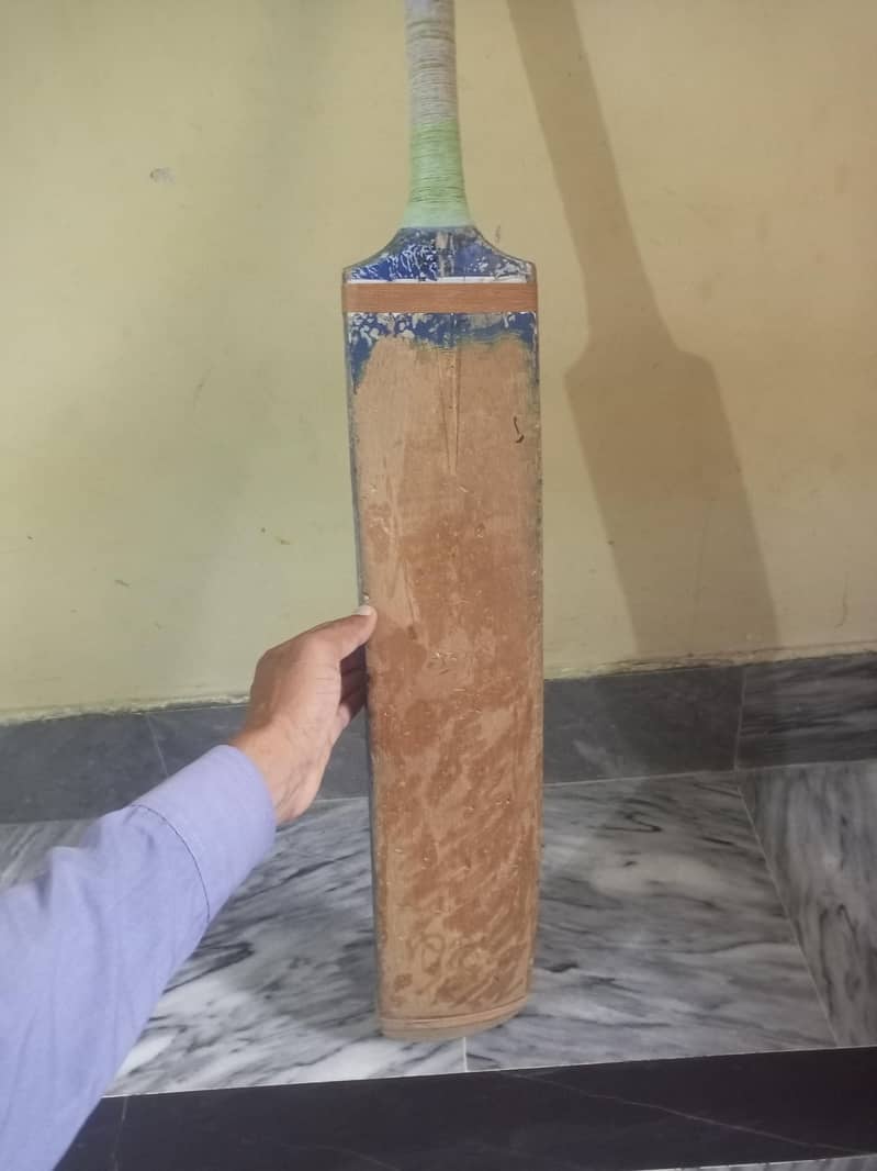 coconut bat 2