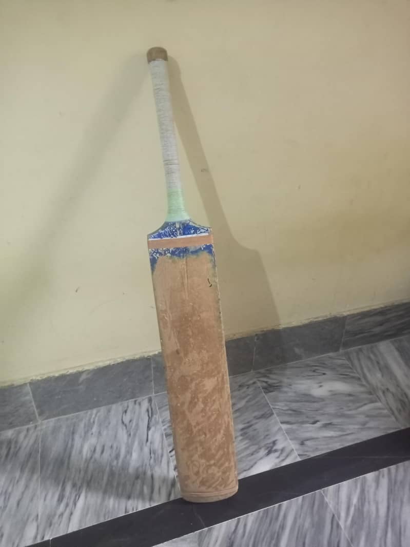 coconut bat 6