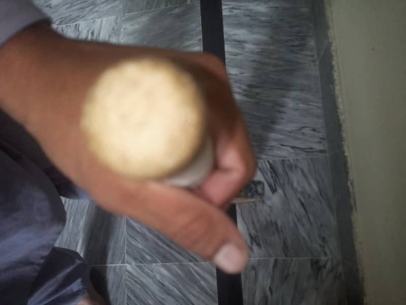 coconut bat 7