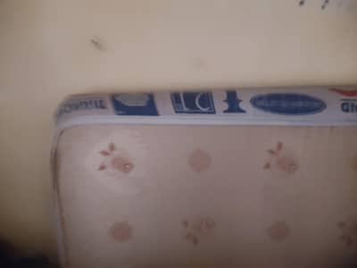 dimond supreme foam