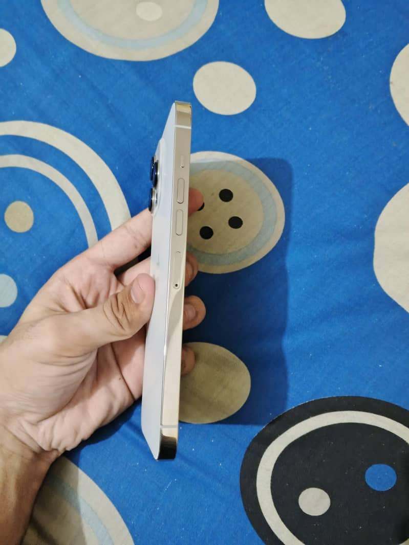Apple iPhone 13 Pro Max 1