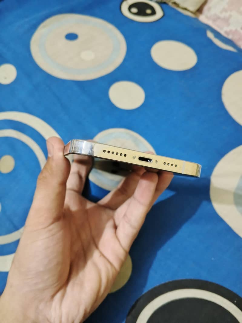 Apple iPhone 13 Pro Max 3