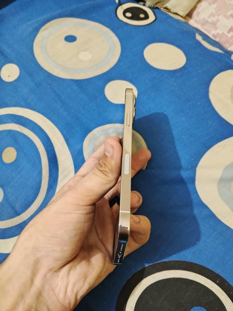 Apple iPhone 13 Pro Max 4