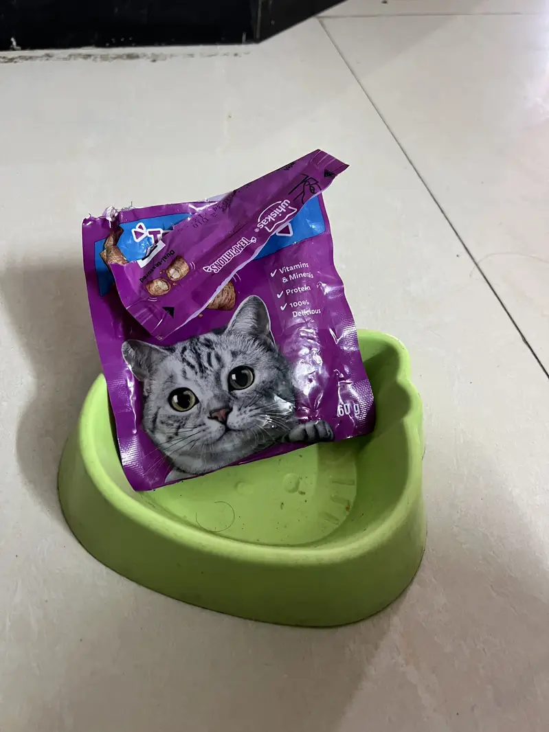 Cat for sale with All accessories — photo 2