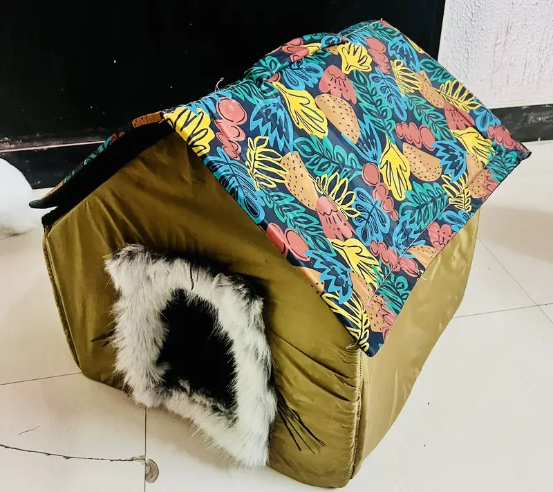 Cat for sale with All accessories — photo 7