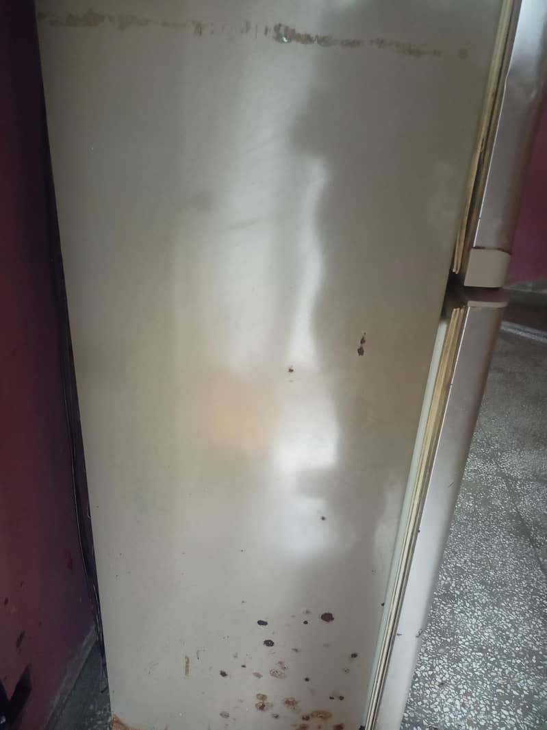 freezer 2