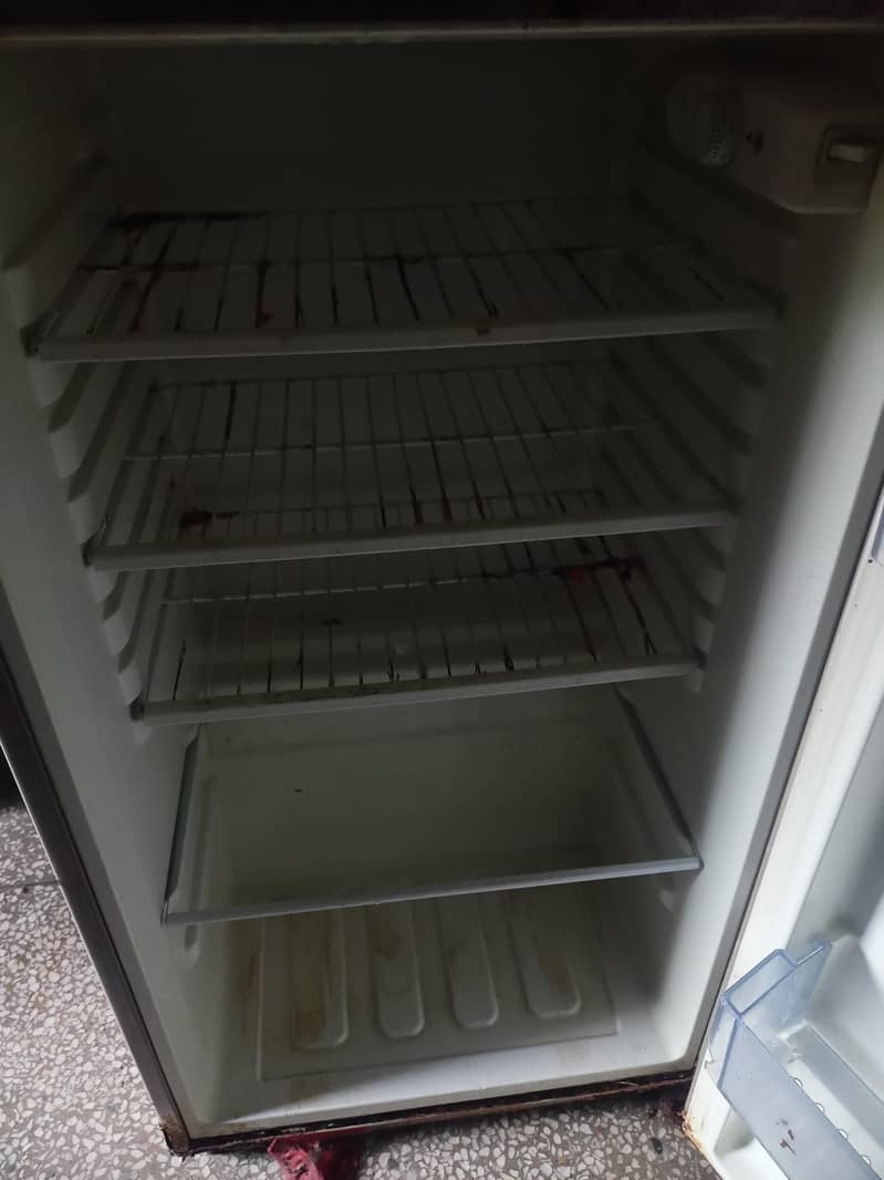 freezer 4