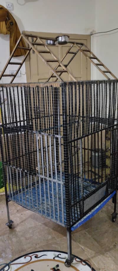 Cage for All birds