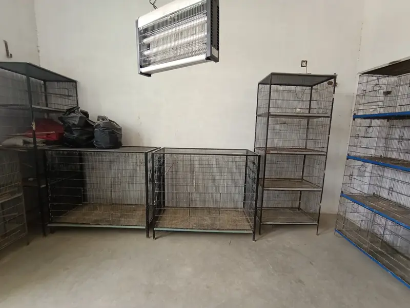 Lovebird Complete Setup For Sell — photo 9