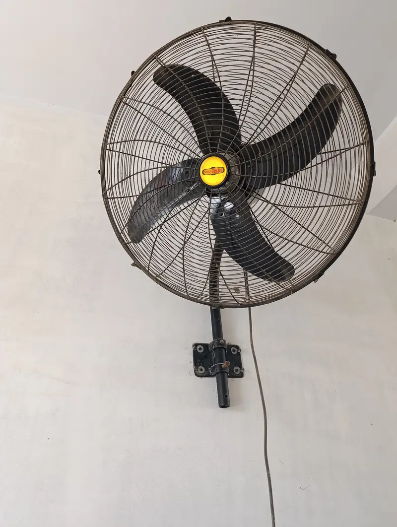 Lovebird Complete Setup For Sell — photo 12