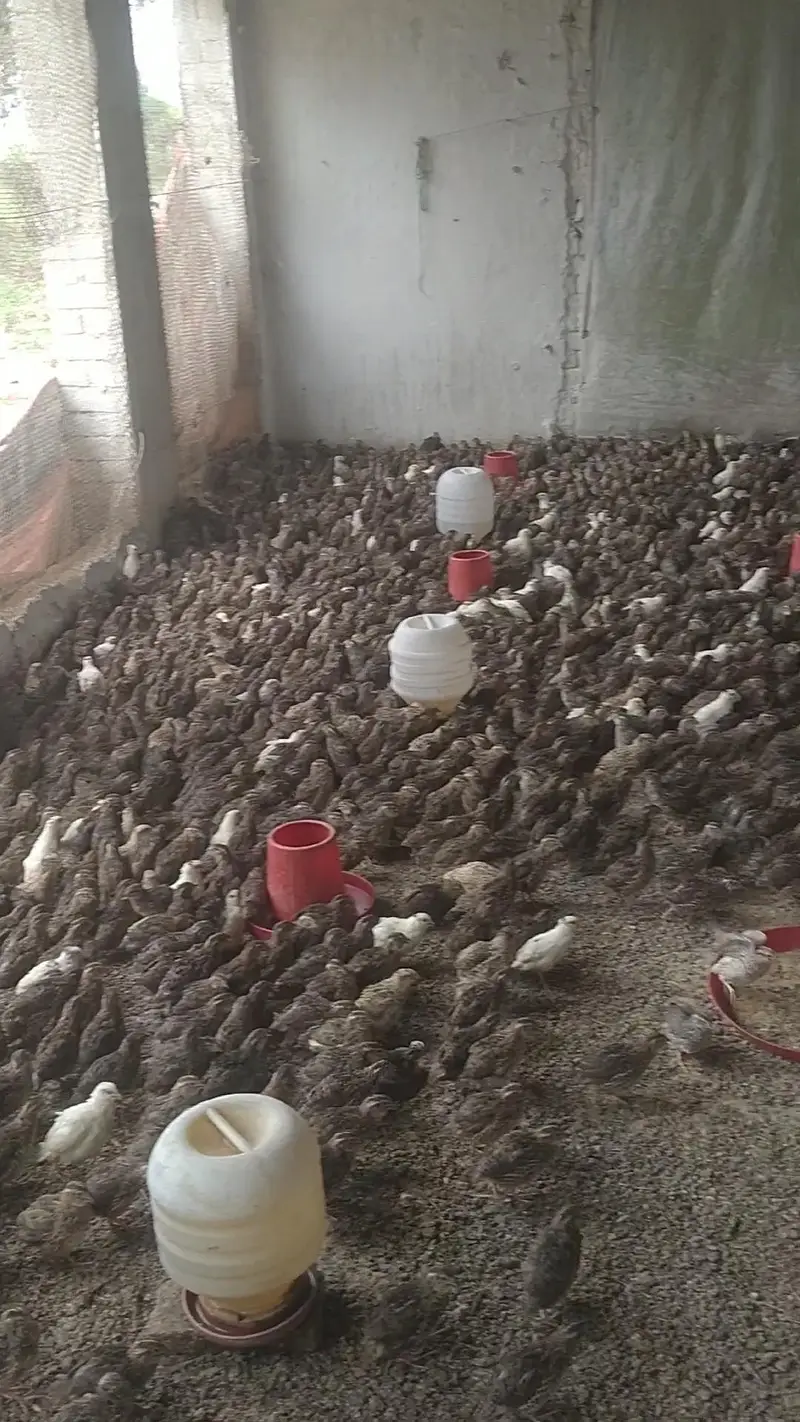 Btair Farm — photo 3