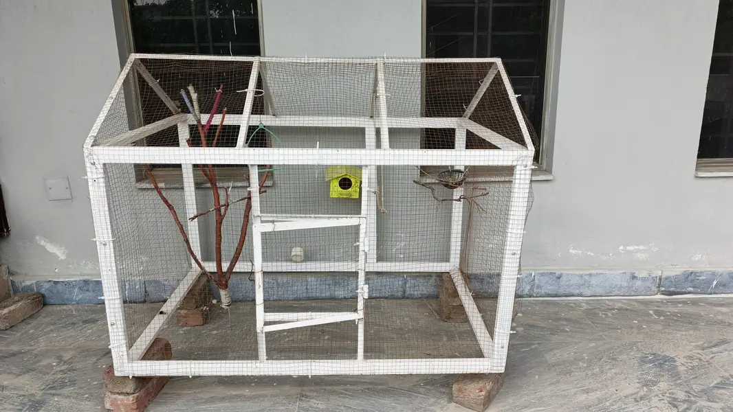 Large Iron Bird Cage — photo 2