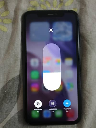 Apple iPhone 11