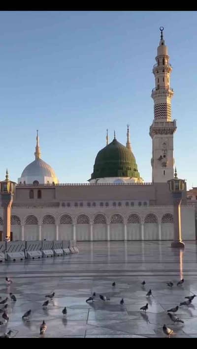 RajaAshir